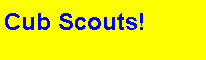 Cub Scouts applet
